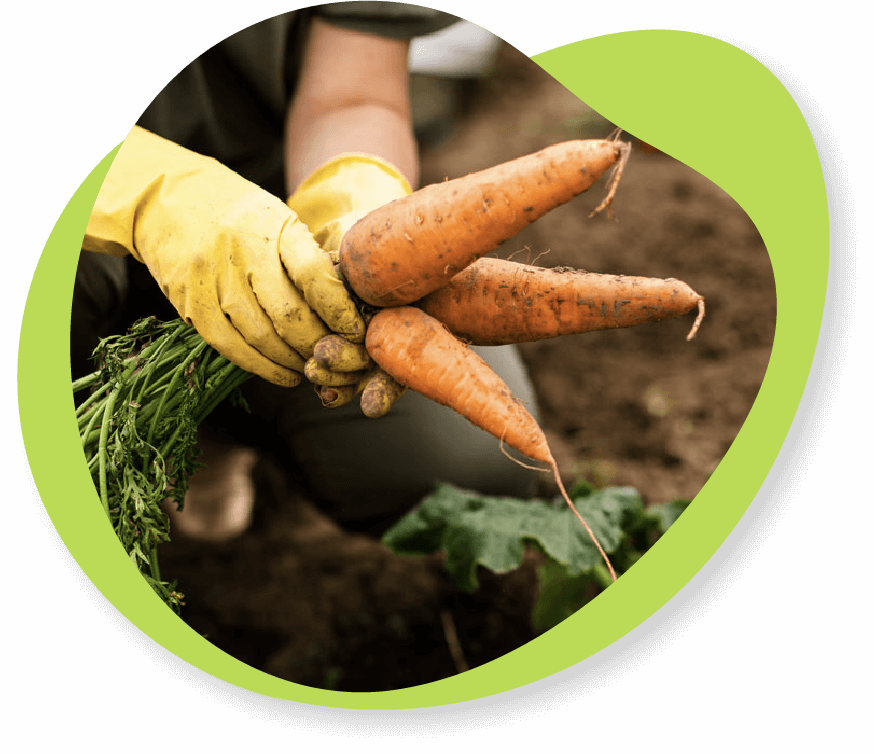Alimentación Sostenible | Instituto Danone